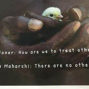 Meet your Posher, Catherine